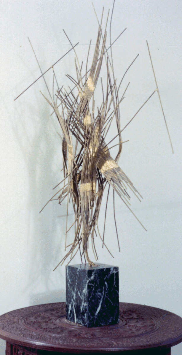 needle in a haystack